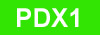PDX1